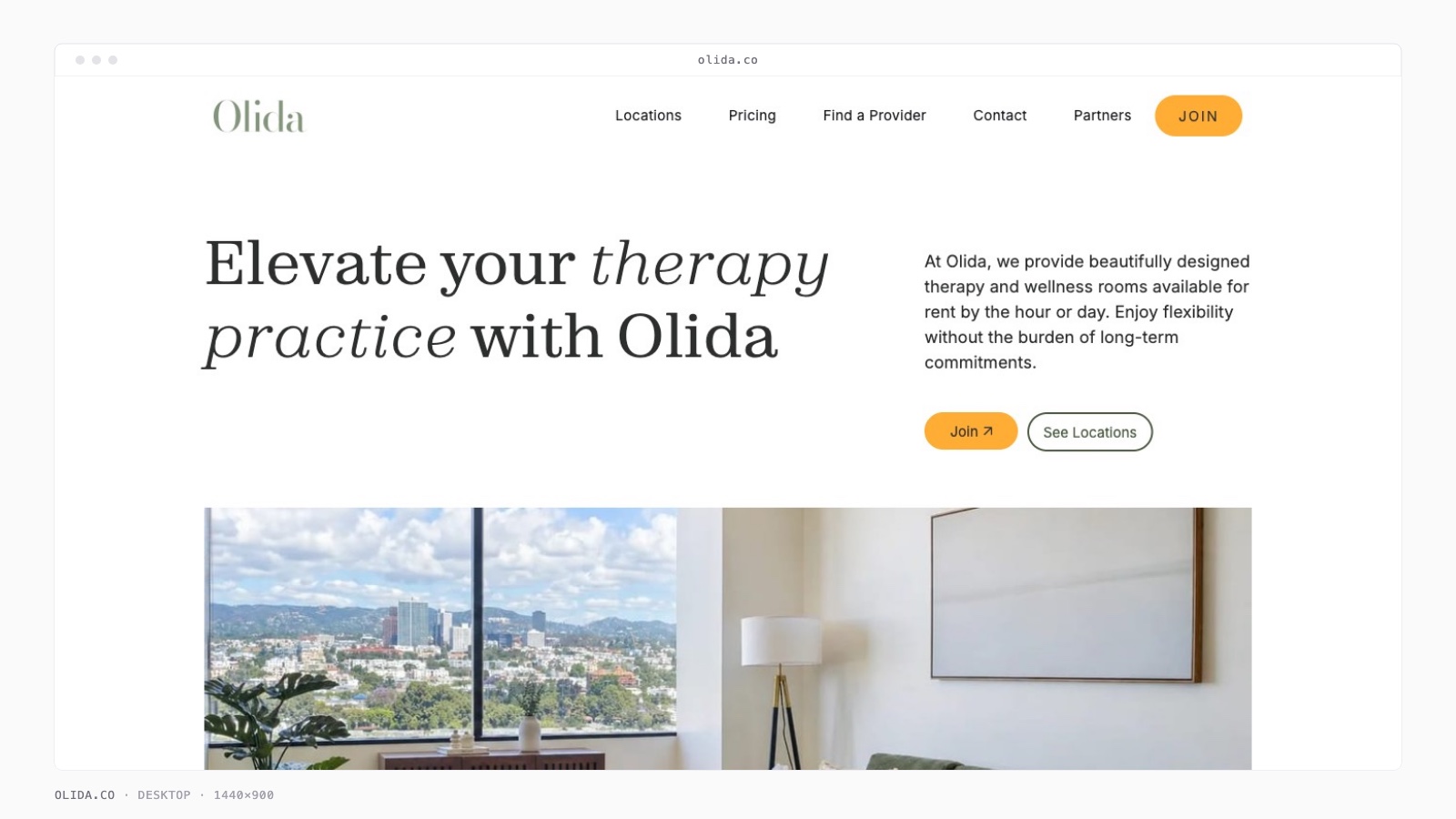 Olida screenshot