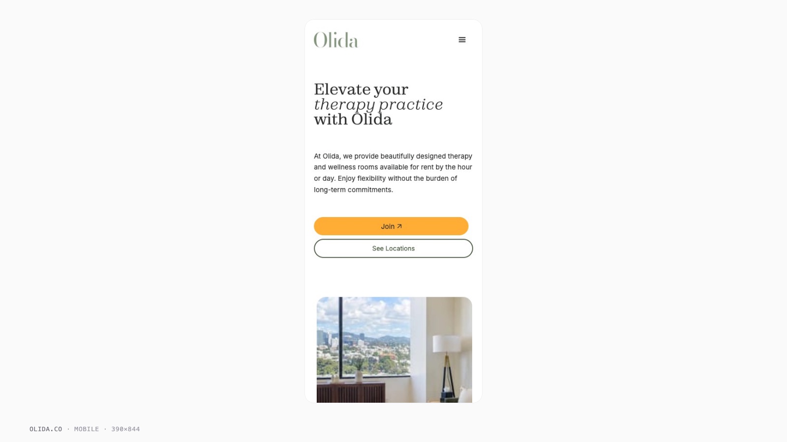 Olida screenshot
