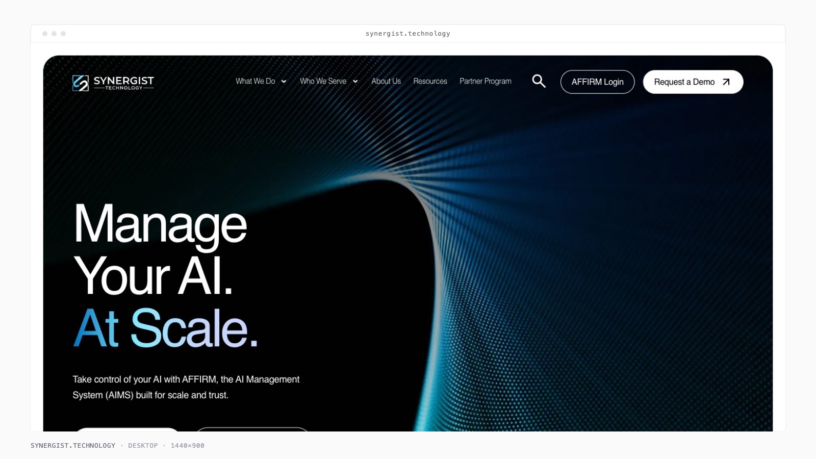 Synergist screenshot